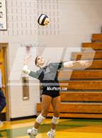 Photo from the gallery "Green Level @ Green Hope"