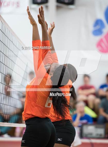 Thumbnail 1 in Mineola @ Alba-Golden photogallery.