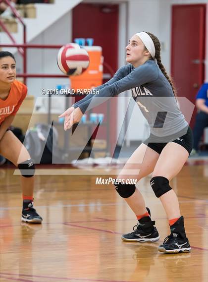 Thumbnail 3 in Mineola @ Alba-Golden photogallery.