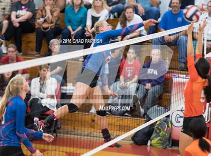 Thumbnail 2 in Mineola @ Alba-Golden photogallery.