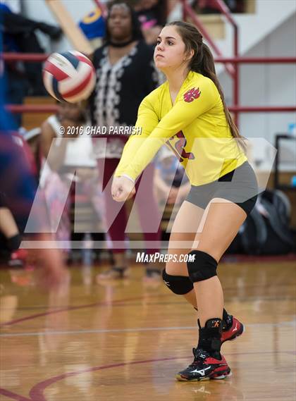 Thumbnail 3 in Mineola @ Alba-Golden photogallery.