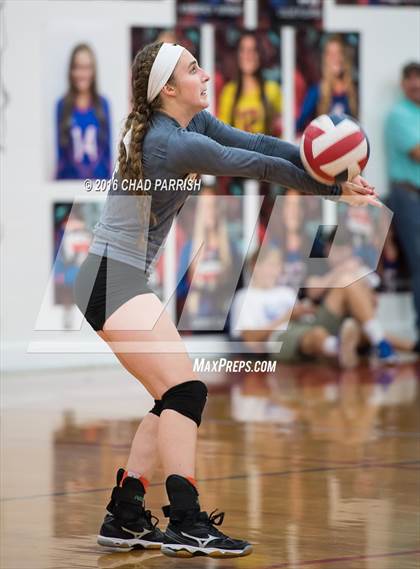 Thumbnail 1 in Mineola @ Alba-Golden photogallery.
