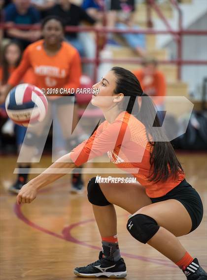 Thumbnail 1 in Mineola @ Alba-Golden photogallery.
