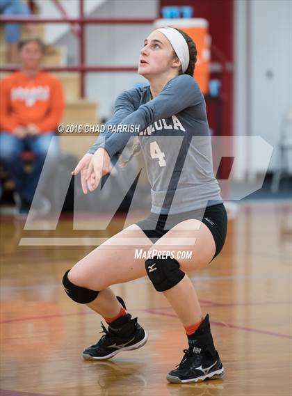 Thumbnail 3 in Mineola @ Alba-Golden photogallery.