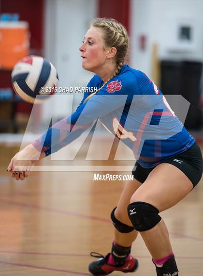 Thumbnail 2 in Mineola @ Alba-Golden photogallery.