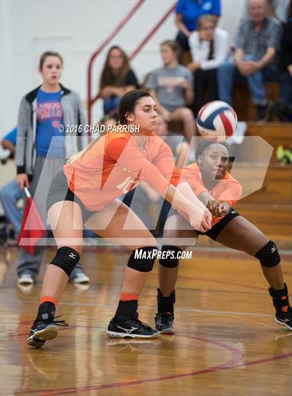 Thumbnail 2 in Mineola @ Alba-Golden photogallery.