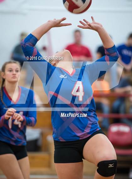 Thumbnail 3 in Mineola @ Alba-Golden photogallery.