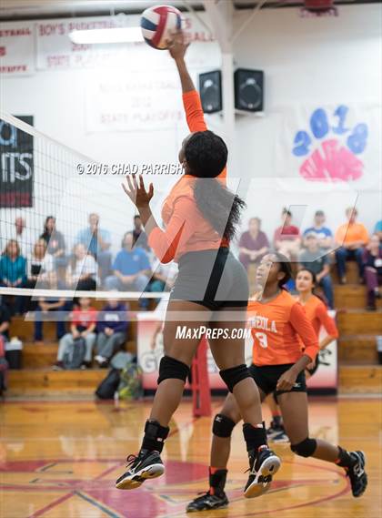 Thumbnail 1 in Mineola @ Alba-Golden photogallery.