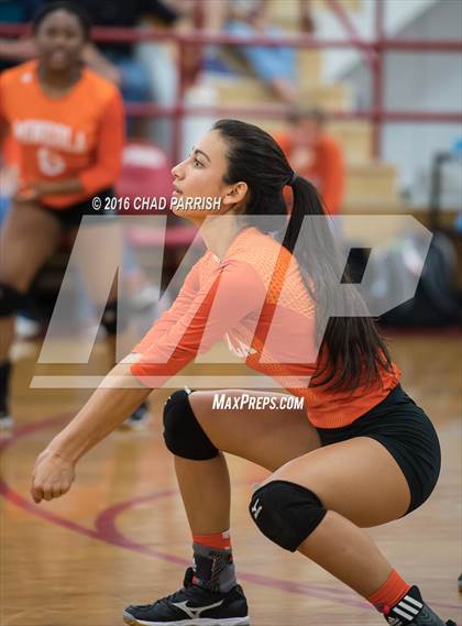Thumbnail 3 in Mineola @ Alba-Golden photogallery.