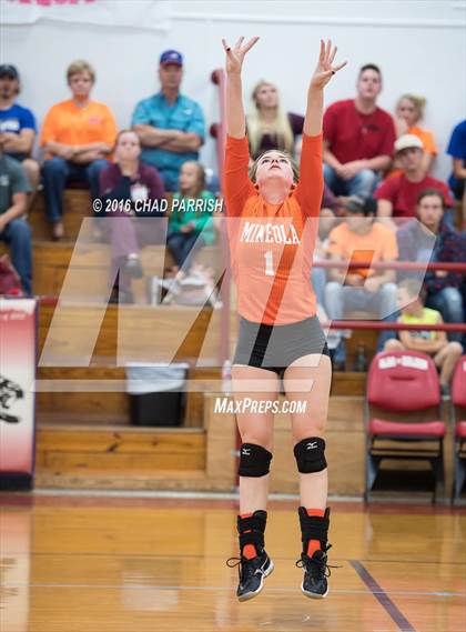 Thumbnail 2 in Mineola @ Alba-Golden photogallery.