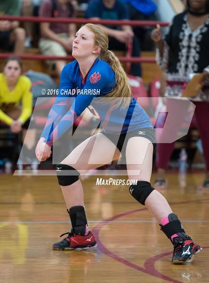 Thumbnail 2 in Mineola @ Alba-Golden photogallery.