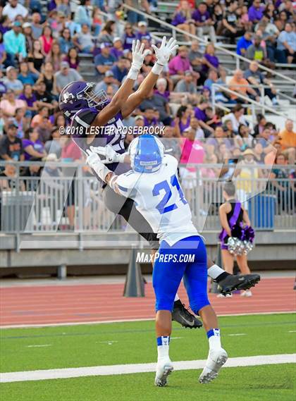 Thumbnail 1 in Del Rio @ Warren photogallery.