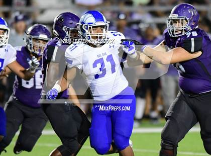 Thumbnail 1 in Del Rio @ Warren photogallery.