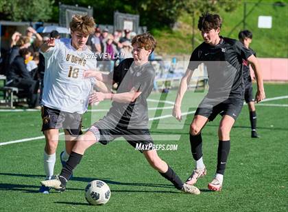 Thumbnail 2 in Bishop O'Dowd @ Marin Academy photogallery.
