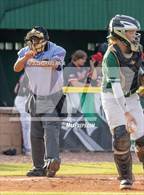 Photo from the gallery "Carrollwood Day @ Tampa Catholic"