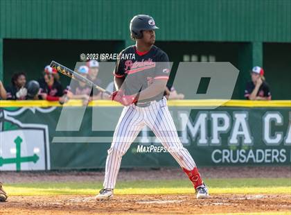 Thumbnail 1 in Carrollwood Day @ Tampa Catholic photogallery.