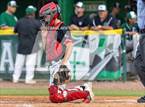 Photo from the gallery "Carrollwood Day @ Tampa Catholic"