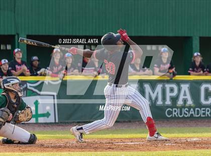 Thumbnail 3 in Carrollwood Day @ Tampa Catholic photogallery.