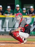 Photo from the gallery "Carrollwood Day @ Tampa Catholic"