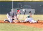 Photo from the gallery "Carrollwood Day @ Tampa Catholic"