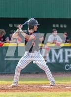 Photo from the gallery "Carrollwood Day @ Tampa Catholic"