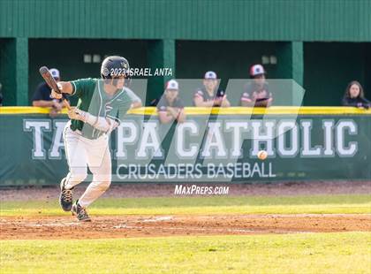 Thumbnail 3 in Carrollwood Day @ Tampa Catholic photogallery.