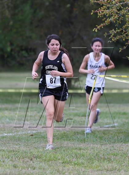 Thumbnail 3 in TAPPS District 4 4A Championships photogallery.