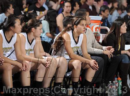 Thumbnail 1 in Alemany vs. Calabasas (CIF SS D3AA Final) photogallery.