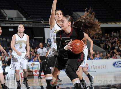 Thumbnail 2 in Alemany vs. Calabasas (CIF SS D3AA Final) photogallery.