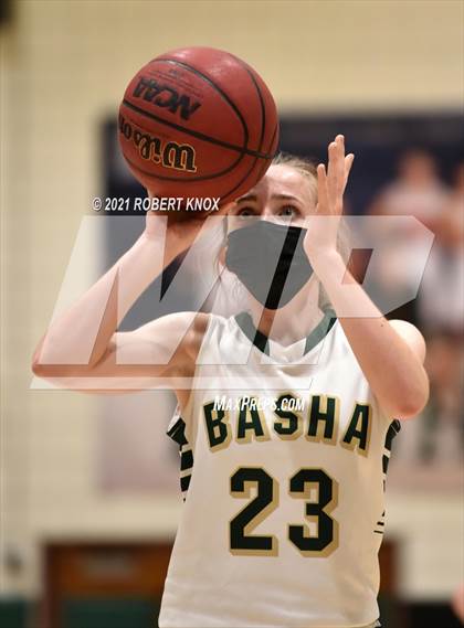 Thumbnail 3 in Hamilton @ Basha photogallery.