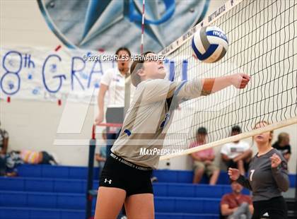 Thumbnail 3 in New Waverly @ Anderson-Shiro photogallery.