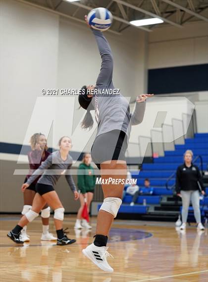 Thumbnail 1 in New Waverly @ Anderson-Shiro photogallery.