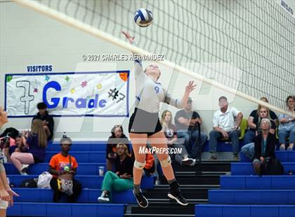 Thumbnail 2 in New Waverly @ Anderson-Shiro photogallery.