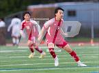 Photo from the gallery "Redmond @ Newport - Bellevue"