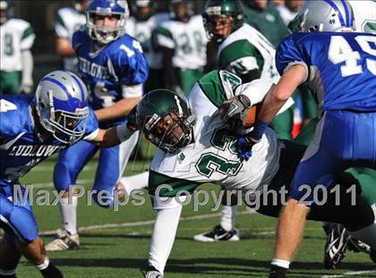Thumbnail 1 in Norwalk @ Ludlowe photogallery.