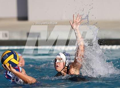 Thumbnail 3 in Homestead @ Hillsdale photogallery.