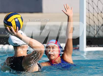 Thumbnail 2 in Homestead @ Hillsdale photogallery.