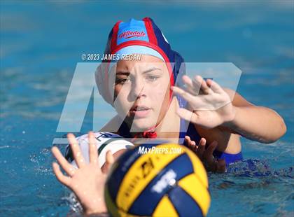 Thumbnail 3 in Homestead @ Hillsdale photogallery.
