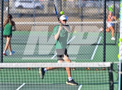 Thumbnail 2 in Cardinal Mooney at Venice photogallery.