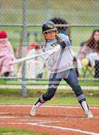 Photo from the gallery "Spring Woods @ Galena Park"
