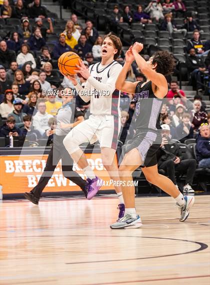 Thumbnail 1 in Denver South vs Dakota Ridge (Ball arena) photogallery.