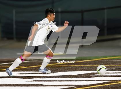 Thumbnail 2 in Monta Vista @ Saint Francis photogallery.