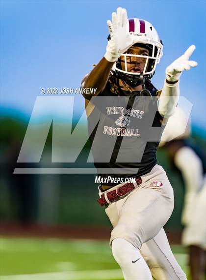 Thumbnail 2 in Donaldsonville @ White Castle photogallery.