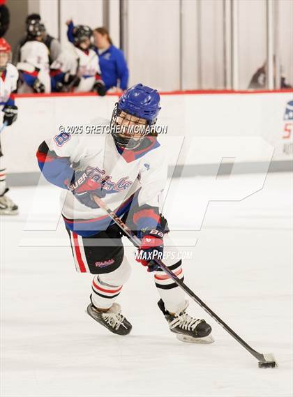 Thumbnail 3 in Warde/Ludlowe @ Wilton/Norwalk photogallery.