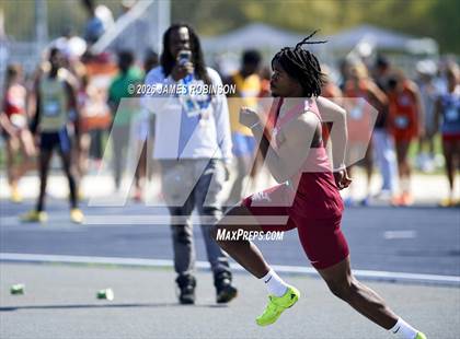 Thumbnail 2 in Bob Hayes Invitational (High Jump) photogallery.