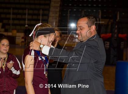 Thumbnail 2 in Haldane vs. Portville (NYSPHSAA Class D Final) photogallery.