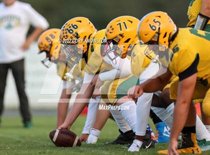 Thumbnail 3 in Cypress Creek @ Pasco photogallery.
