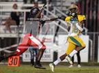Photo from the gallery "Cypress Creek @ Pasco"