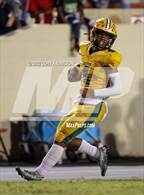 Photo from the gallery "Cypress Creek @ Pasco"