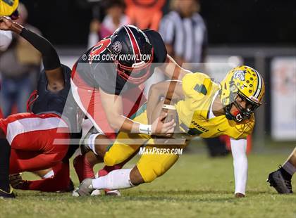 Thumbnail 1 in Cypress Creek @ Pasco photogallery.